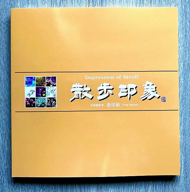 摄影家冯学敏新编摄影集《散步印象》出版